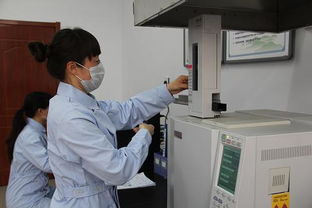 承德市多措并舉推進農產品綜合利用技術開發，賦能農業綠色轉型與產業升級